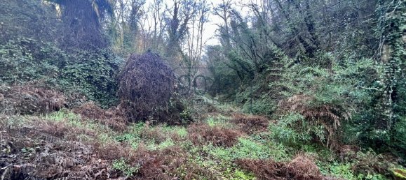 Дом с 4 спальнями в Лампореккьо, Италия № 404348 6