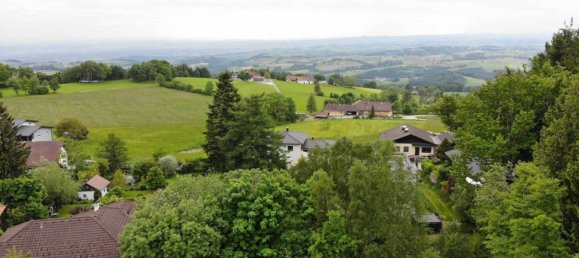  Land in Eidenberg, Austria No. 127935 5