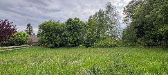  Land in Eidenberg, Austria No. 127935 2