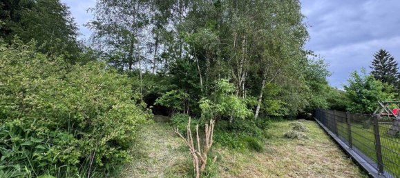  Land in Eidenberg, Austria No. 127935 6