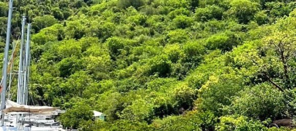 2 bedrooms Apartment in Saint-Martin, France No. 344687 4