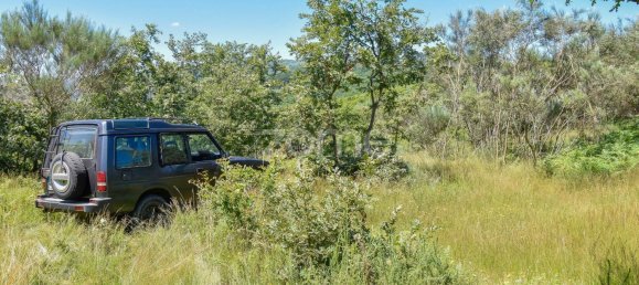 4450m² Land in Baiao, Portugal No. 15523 13