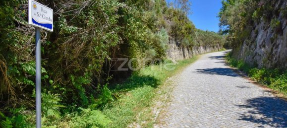 4450m² Land in Baiao, Portugal No. 15523 5