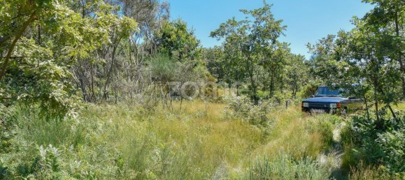 4450m² Land in Baiao, Portugal No. 15523 12
