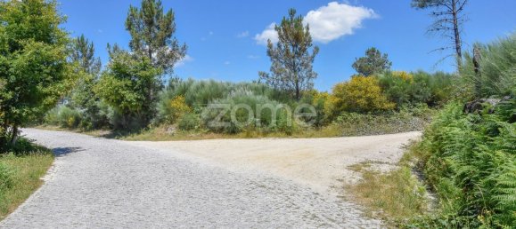 4450m² Land in Baiao, Portugal No. 15523 7