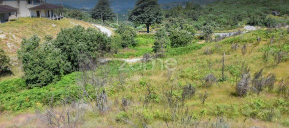 4450m² Land in Baiao, Portugal No. 15523 20