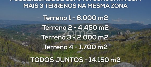 4450m² Land in Baiao, Portugal No. 15523 17