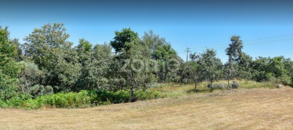 4450m² Land in Baiao, Portugal No. 15523 23