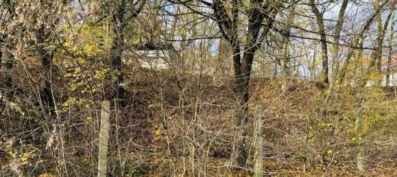 Grundstück in Oder-Spree, Germany, Nr. 57764 6