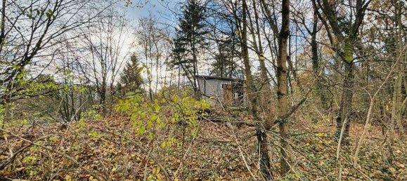 Grundstück in Oder-Spree, Germany, Nr. 57764 4