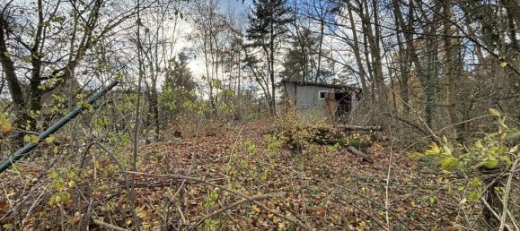 Grundstück in Oder-Spree, Germany, Nr. 57764 3