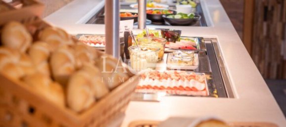 492m² Hotel in Russbach am Pass Gschutt, Austria No. 131387 10