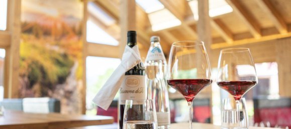 492m² Hotel in Russbach am Pass Gschutt, Austria No. 131387 7