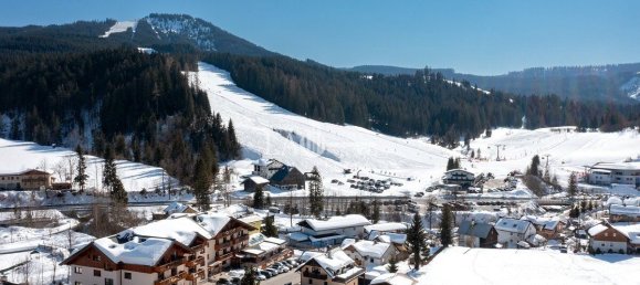 492m² Hotel in Russbach am Pass Gschutt, Austria No. 131387 14