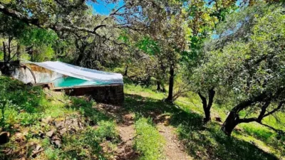 3 bedrooms House in Huelva, Spain No. 245063