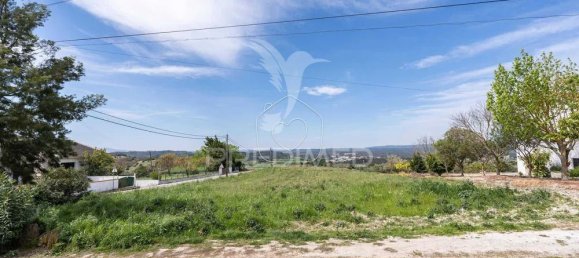 5 bedrooms House in Santarem, Portugal No. 131221 9