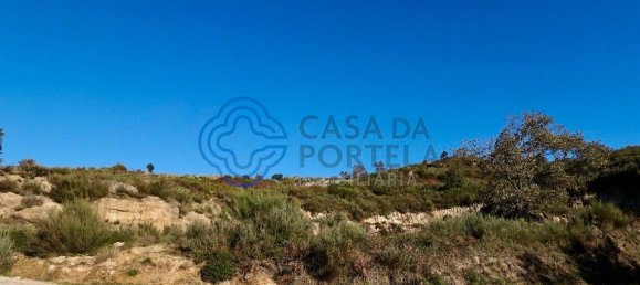 10020m² Land in Soalhaes, Portugal No. 36144 3