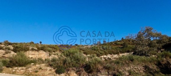 10020m² Land in Soalhaes, Portugal No. 36144 5