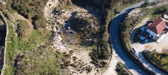 10020m² Land in Soalhaes, Portugal No. 36144 7