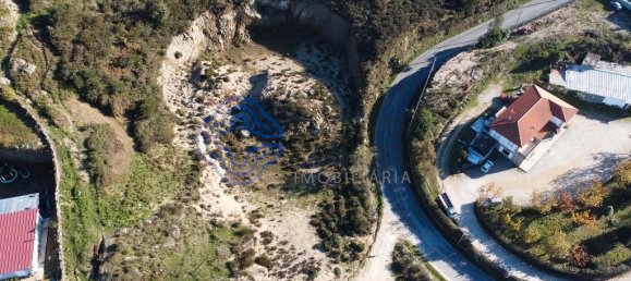 10020m² Land in Soalhaes, Portugal No. 36144 6