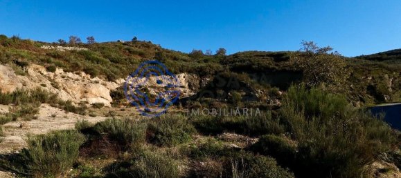 10020m² Land in Soalhaes, Portugal No. 36144 2