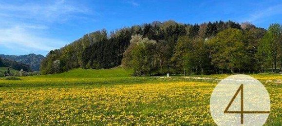  Land in Waidhofen an der Ybbs, Austria No. 60001 2