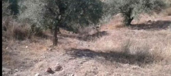 Terreno em Malaga, Spain 3600 m² N.º 134797 3