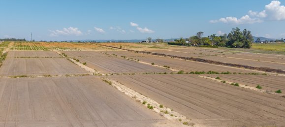 Terreno en Wamuran, Australia 40470 m² No. 241 14