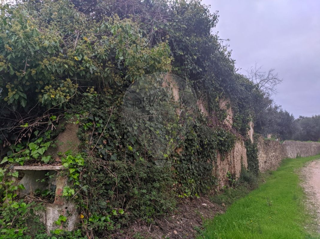 2 bedrooms House in Tomar, Portugal No. 182156