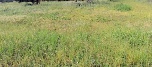 Земельный участок в Аугуста, Италия № 72638 5