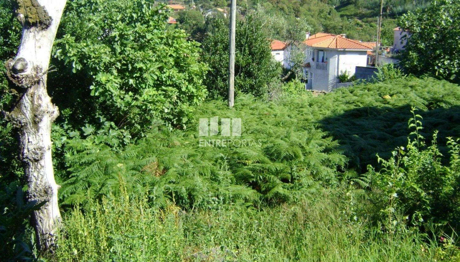 1 bedroom House in Marco de Canaveses, Portugal No. 57206