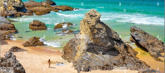 1633m² Hotel in Sao Teotonio, Portugal No. 56478 28