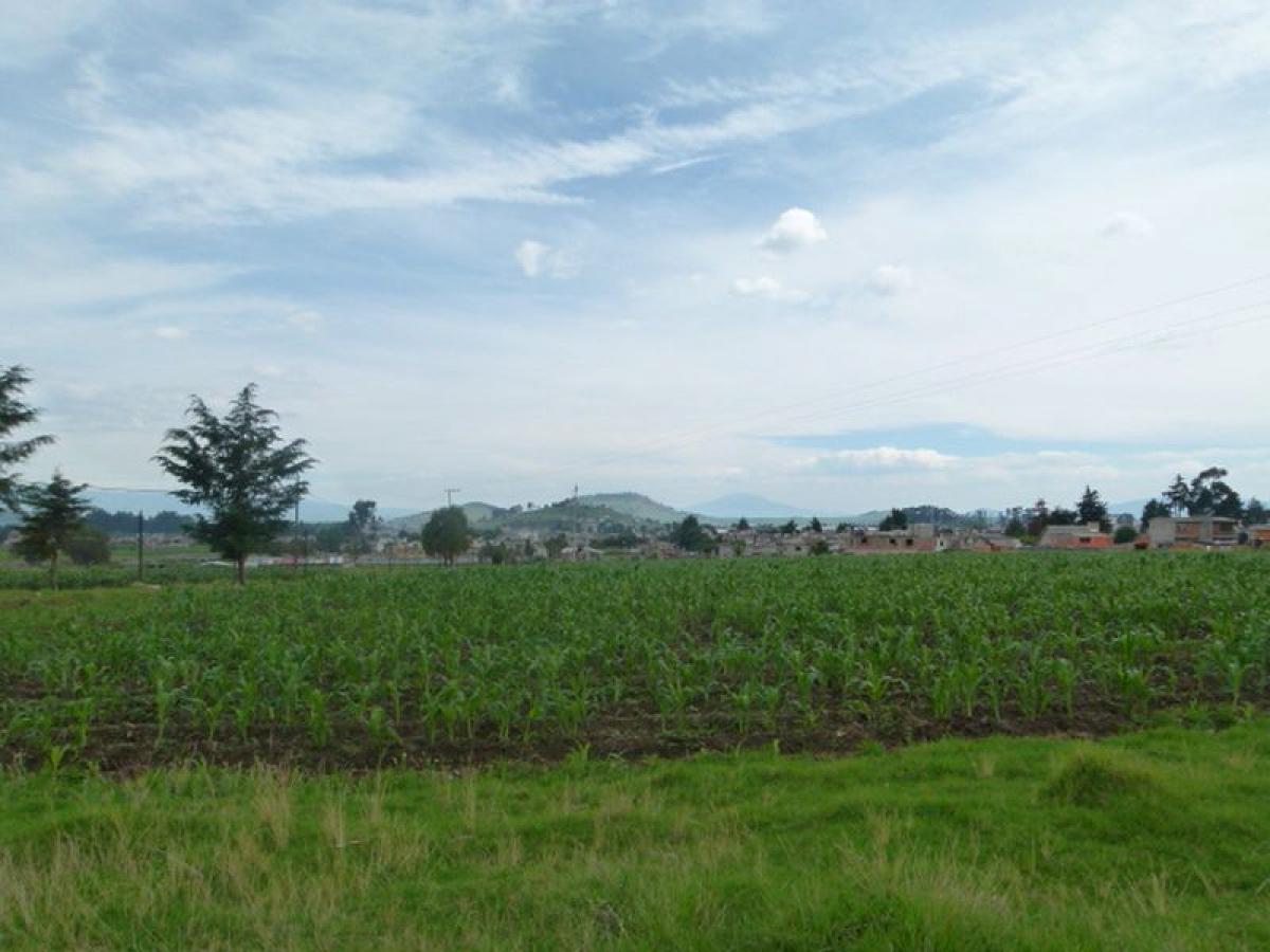  قطعة أرض في Zinacantepec, Mexico رقم 206244