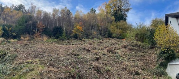  Land in Freiburg im Breisgau, Germany No. 220796 4