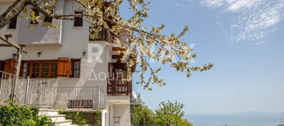 8 Schlafzimmer Stadthaus in Mouresi, Greece, Nr. 46747 2