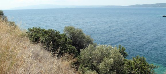  فندق في Chalkidiki, Greece 16500متر مربع رقم 4185 4