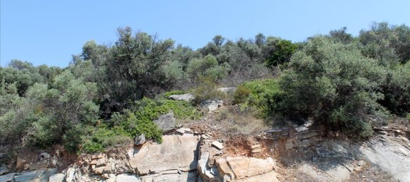 16500m² Hotel in Chalkidiki, Greece No. 4185 6