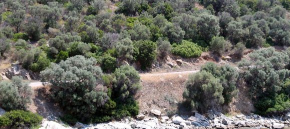  فندق في Chalkidiki, Greece 16500متر مربع رقم 4185 8