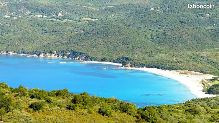 1 Schlafzimmer Wohnung in Serra-di-Ferro, France, Nr. 303160