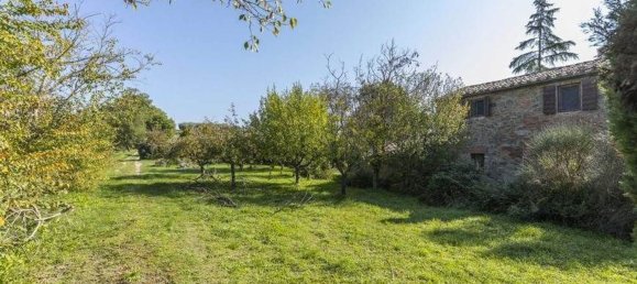 8-Zimmer Haus in Foiano della Chiana, Italy, Nr. 228514 3