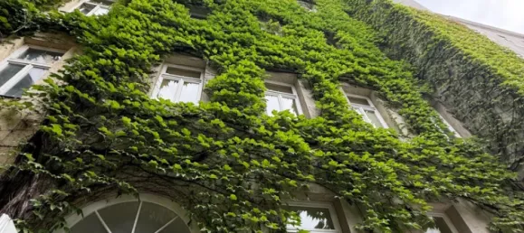 Квартира с 3 комнатами в Бригиттенау, Австрия № 252876 22