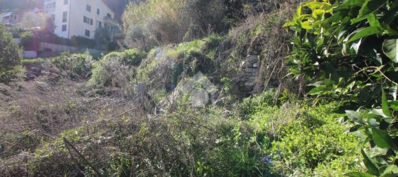 1 bedroom House in Chiavari, Italy No. 38450 20