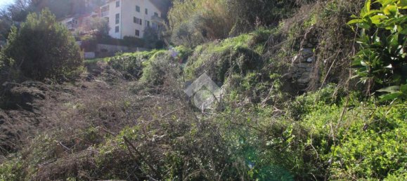 1 bedroom House in Chiavari, Italy No. 38450 34