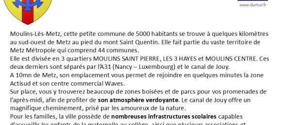 Apartamento de 1 dormitorio en Moulins-les-Metz, France No. 40358 5