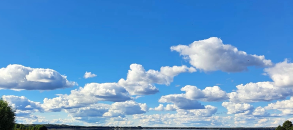  Land in Barnim, Germany No. 341306 3