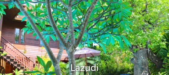 15 bedrooms Hotel in Chiang Mai, Thailand No. 16258 4