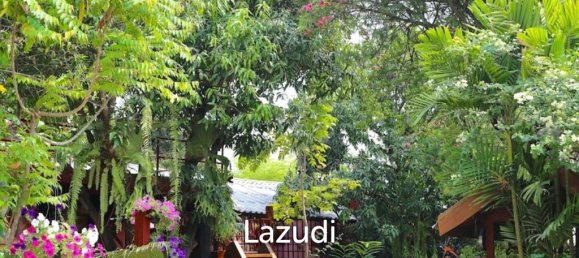 15 bedrooms Hotel in Chiang Mai, Thailand No. 16258 10