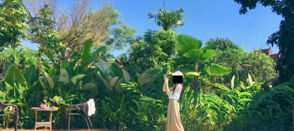 15 bedrooms Hotel in Chiang Mai, Thailand No. 16258 5