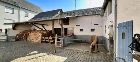 4 Schlafzimmer Bauernhof in Mayen-Koblenz, Germany, Nr. 336969 5