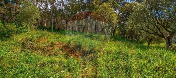 1 bedroom House in Maiorga, Portugal No. 35672 9